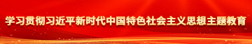 小穴插入视频学习贯彻习近平新时代中国特色社会主义思想主题教育